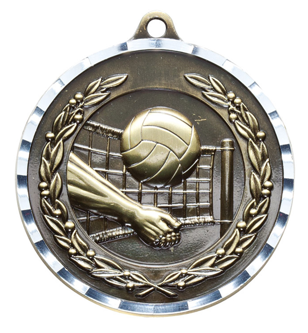 MDC417 volleyball